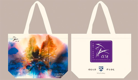 conference bags